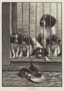 Tentador de Fannie Moody